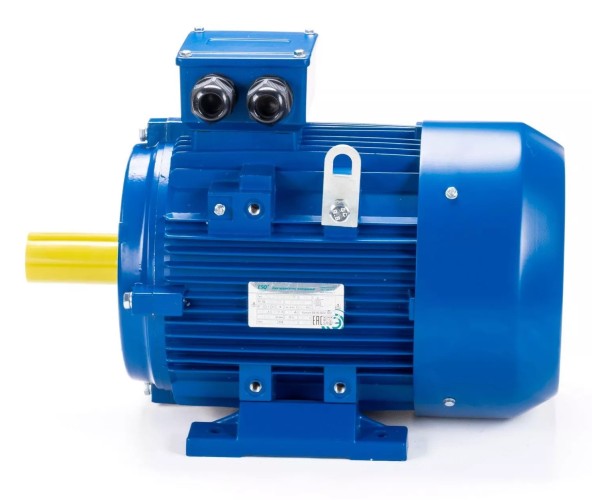 Электродвигатель ESQ 280 M4-SDN- IM B3 90/1500 01.05.221702 - изображение 4