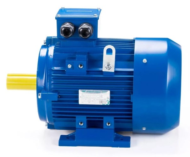 Электродвигатель ESQ 315 LA4-SDN- IM B3 160/1500 01.05.222416 - изображение 4