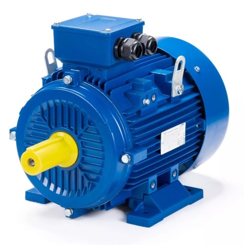 Электродвигатель ESQ 315 M2-SDN- IM B3 132/3000 01.05.222413