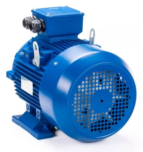 Электродвигатель ESQ 400 L4-SDN- IM B3 600/1500 01.05.223372 - изображение 3