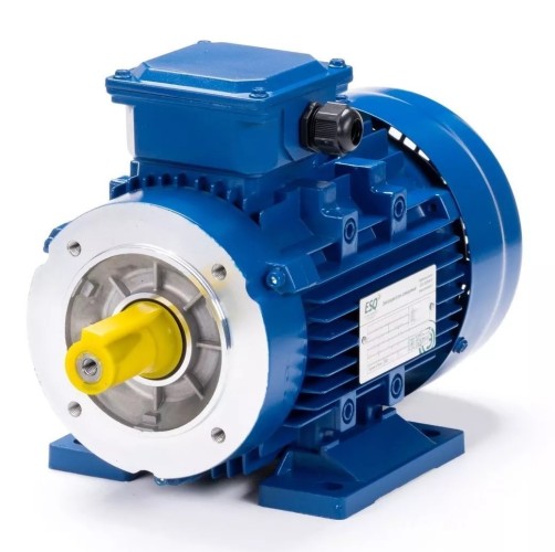 Электродвигатель ESQ 63 A4-SDN- IM B34 0.12/1500 01.05.219824