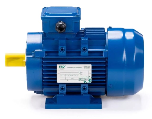 Электродвигатель ESQ 63 A6-SDN- IM B34 0.09/1000 01.05.219825 - изображение 2