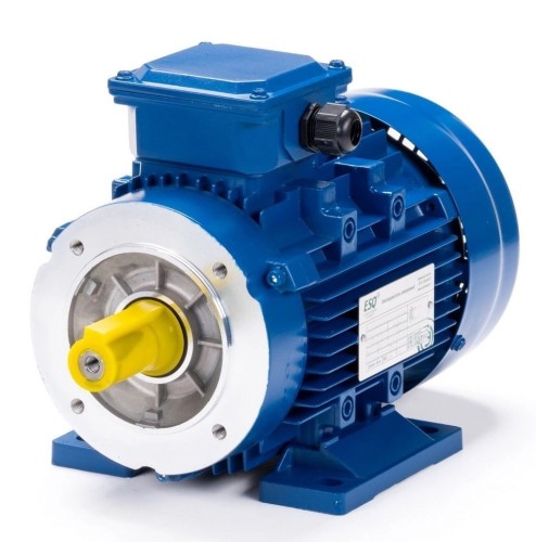 Электродвигатель ESQ 63 A6-SDN- IM B34 0.09/1000 01.05.219825