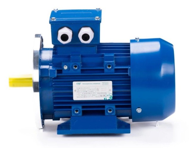 Электродвигатель ESQ 63 B2-SDN- IM B35 0.25/3000 01.05.222636 - изображение 4