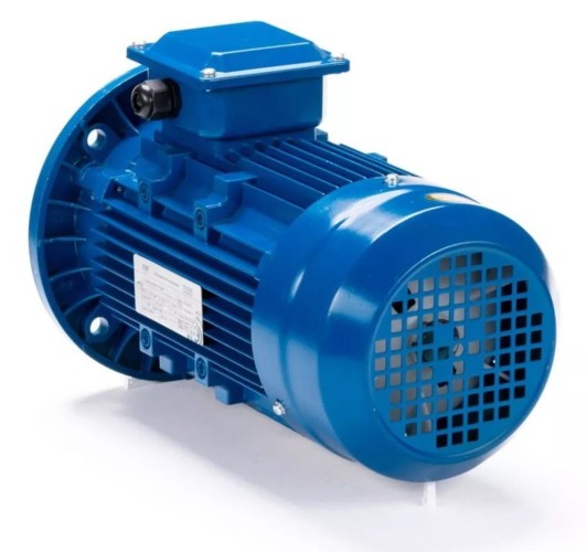 Электродвигатель ESQ 63 B2-SDN- IM B5 0.25/3000 01.05.222488 - изображение 3