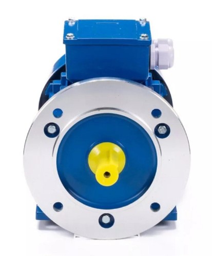 Электродвигатель ESQ 63 B4-SDN- IM B35 0.18/1500 01.05.219805 - изображение 3