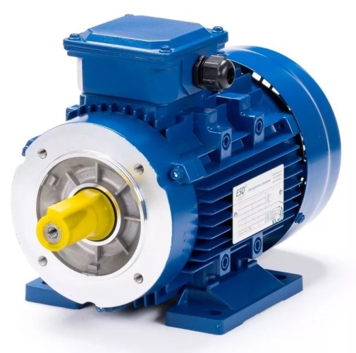 Электродвигатель ESQ 63 B6-SDN- IM B34 0.12/1000 01.05.219827