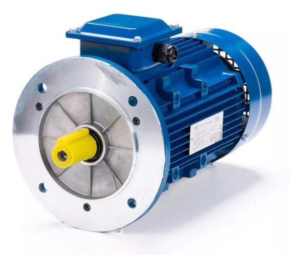 Электродвигатель ESQ 63 D4-SDN- IM B5 0.25/1500 01.05.219856