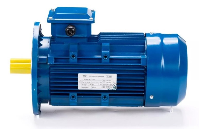 Электродвигатель ESQ 63 D4-SDN- IM B5 0.25/1500 01.05.219856 - изображение 4
