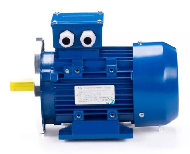 Электродвигатель ESQ 71A2-SDN- IM B35 0.37/3000 01.05.220584 - изображение 2