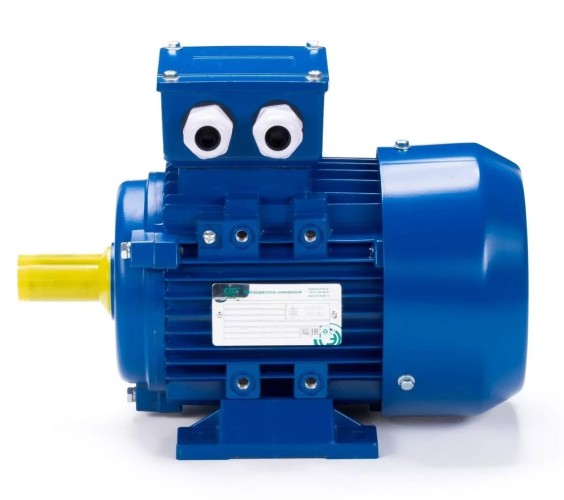 Электродвигатель ESQ 71B2-SDN- IM B3 0.55/3000 01.05.222358 - изображение 2