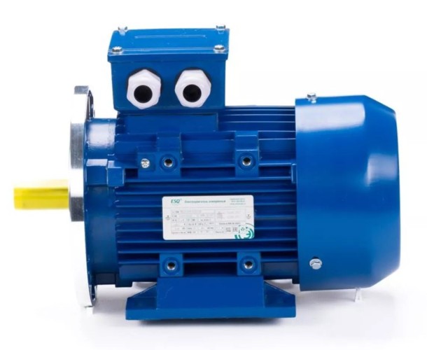 Электродвигатель ESQ 80 A6-SDN IM B35 0.37/1000 01.05.220200 - изображение 4