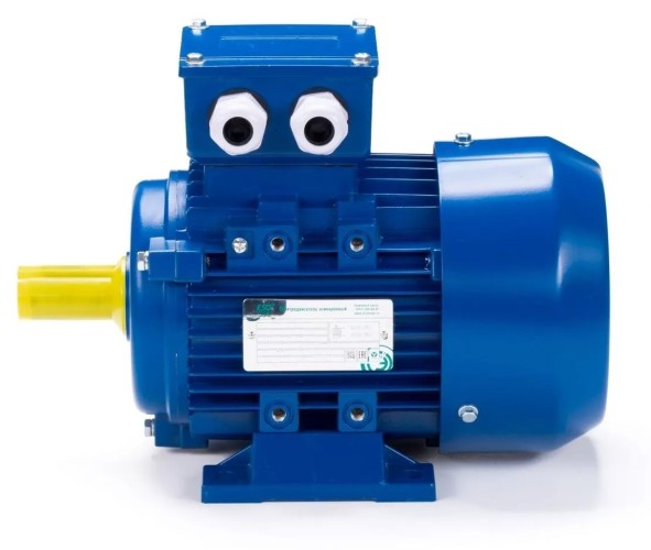 Электродвигатель ESQ 80 B4-SDN- IM B3 0.75/1500 01.05.222381 - изображение 4