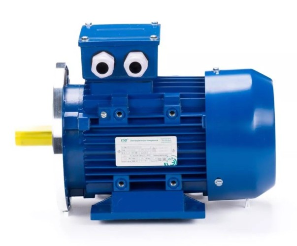 Электродвигатель ESQ 90 L8-SDN IM B35 0.55/750 01.05.220303 - изображение 4