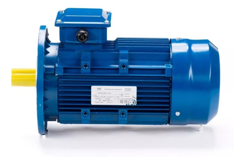 Электродвигатель ESQ 90 LB4-SDN- IM B5 2.2/1500 01.05.222637 - изображение 4