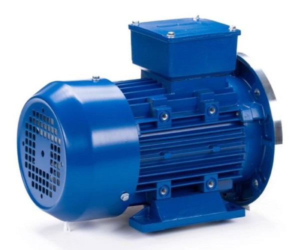 Электродвигатель ESQ 90 S4-SDN- IM B35 1.1/1500 01.05.219810 - изображение 5