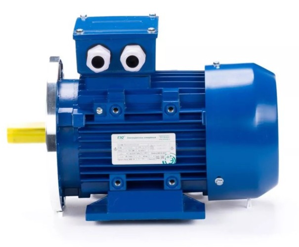 Электродвигатель ESQ 90 S6-SDN- IM B35 0.75/1000 01.05.220227 - изображение 4