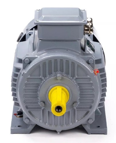 Электродвигатель ESQ PR 100 L6 GST-Б1-S12-IE2 IM 1081 2.2/1000 01.01.223755 - изображение 2