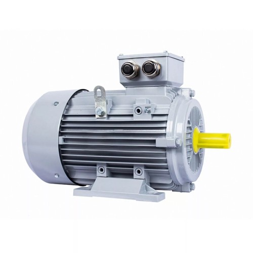 Электродвигатель ESQ PR 100 L6-SDN-Б1-S12-IE3 IM B35 1.5/1000 01.05.02.000163
