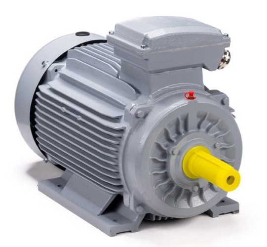 Электродвигатель ESQ PR 100 LA2-SDN-Б1-S12-IE2 IM B3 3/3000 01.05.02.000009 - изображение 2