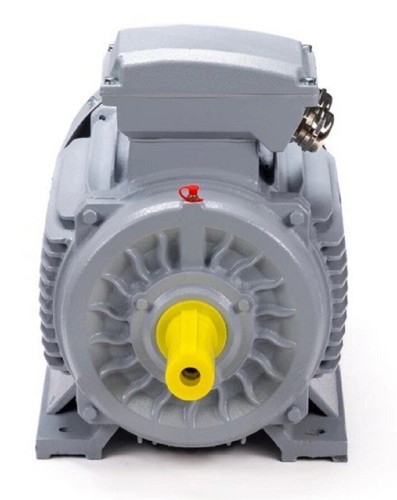 Электродвигатель ESQ PR 100 LA2-SDN-Б1-S12-IE2 IM B3 3/3000 01.05.02.000009 - изображение 3