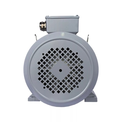 Электродвигатель ESQ PR 100 LA2-SDN-Б1-S12-IE2 IM B35 3/3000 01.05.02.000010 - изображение 4