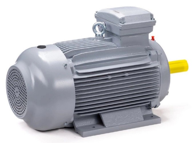 Электродвигатель ESQ PR 100 LA2-SDN-Б1-S12-IE2 IM B3 3/3000 01.05.02.000009 - изображение 5