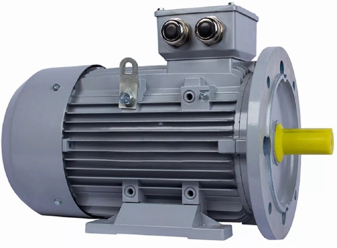 Электродвигатель ESQ PR 100 LA2-SDN-Б1-S12-IE2 IM B35 3/3000 01.05.02.000010