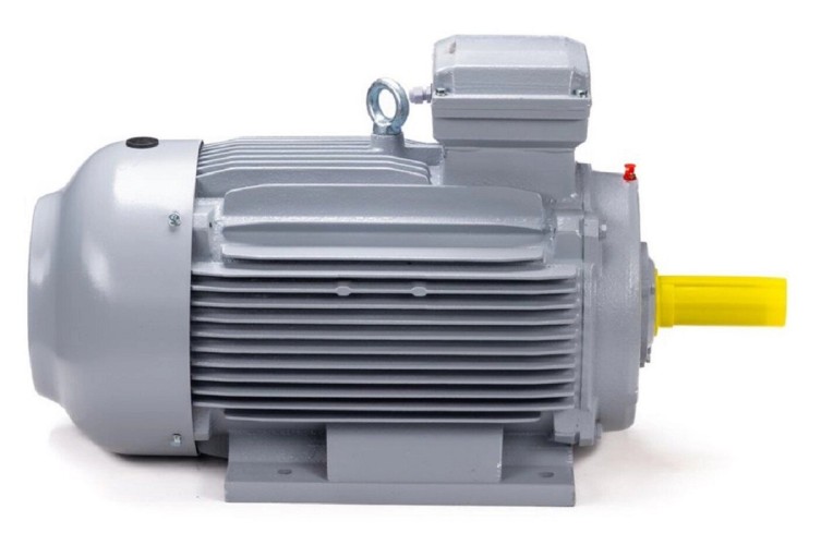 Электродвигатель ESQ PR 100 LA2-SDN-Б1-S12-IE2 IM B3 3/3000 01.05.02.000009 - изображение 4