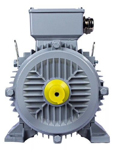 Электродвигатель ESQ PR 100 LA4-SDN-Б1-S12-IE2 IM B3 2.2/1500 01.05.02.000041 - изображение 3