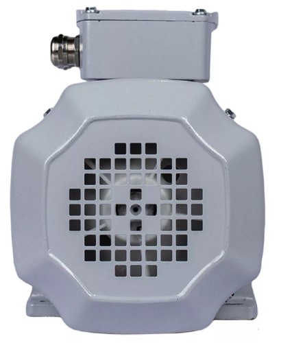 Электродвигатель ESQ PR 100 LB4-SDN-Б1-S12-IE2 IM B34 3/1500 01.05.02.000074 - изображение 4