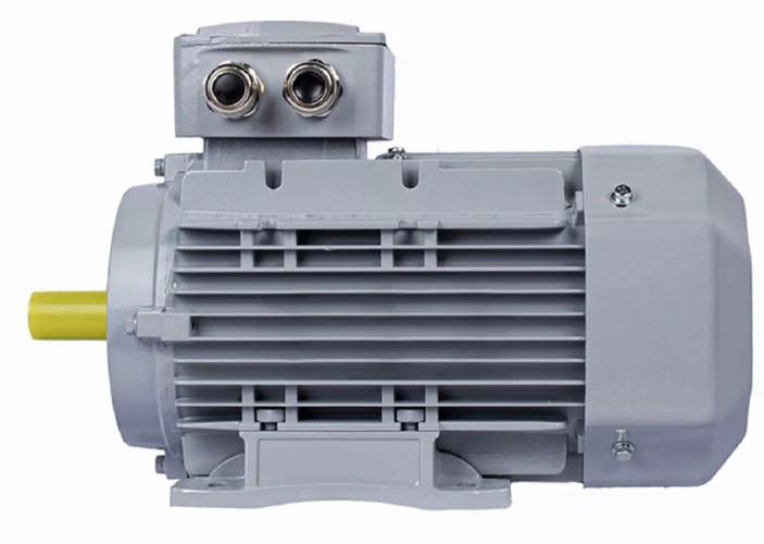 Электродвигатель ESQ PR 100 LB4-SDN-Б1-S12-IE2 IM B34 3/1500 01.05.02.000074 - изображение 5