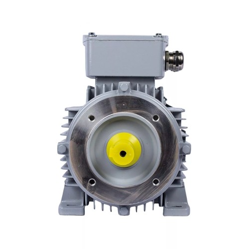 Электродвигатель ESQ PR 100 LB4-SDN-Б1-S12-IE3 IM B34 3/1500 01.05.02.000131 - изображение 2