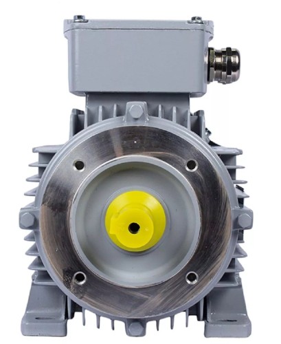 Электродвигатель ESQ PR 100 LB4-SDN-Б1-S12-IE2 IM B34 3/1500 01.05.02.000074 - изображение 2