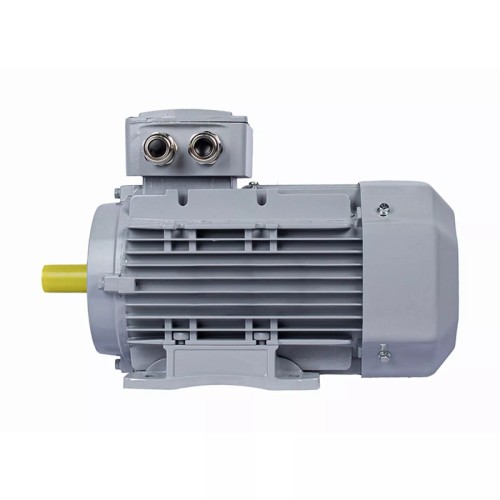 Электродвигатель ESQ PR 100 LB4-SDN-Б1-S12-IE3 IM B34 3/1500 01.05.02.000131 - изображение 5