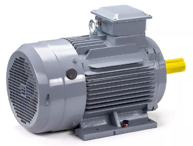 Электродвигатель ESQ PR 100 S2 GST-Б1-S12-IE2 IM 1081 4/3000 01.01.223756 - изображение 5