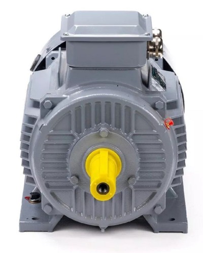 Электродвигатель ESQ PR 100 S2 GST-Б1-S12-IE2 IM 1081 4/3000 01.01.223756 - изображение 2