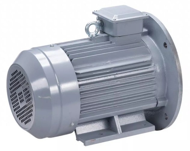 Электродвигатель ESQ PR 100 S4 GST-Б1-S12-IE2 IM 2081 3/1500 01.01.223758 - изображение 5