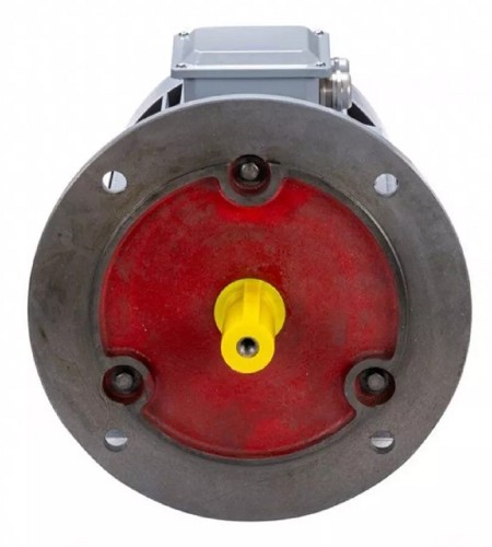 Электродвигатель ESQ PR 100 S4 GST-Б1-S12-IE2 IM 2081 3/1500 01.01.223758 - изображение 3