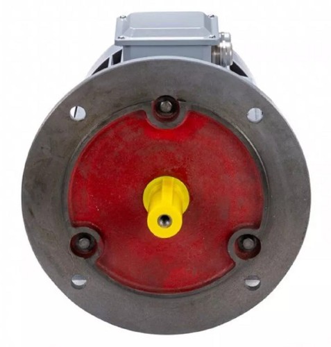 Электродвигатель ESQ PR 112 М2 GST-Б1-S12-IE2 IM 2081 7.6/3000 01.01.223760 - изображение 3