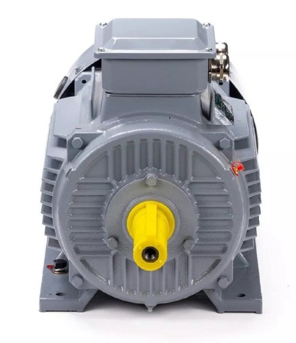 Электродвигатель ESQ PR 112 М2 GST-Б1-S12-IE2 IM 1081 7.6/3000 01.01.223759 - изображение 2