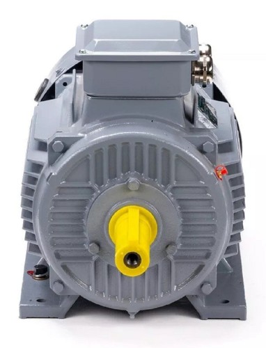 Электродвигатель ESQ PR 112 M4 GST-Б1-S12-IE2 IM 1081 5.5/1500 01.01.223761 - изображение 2