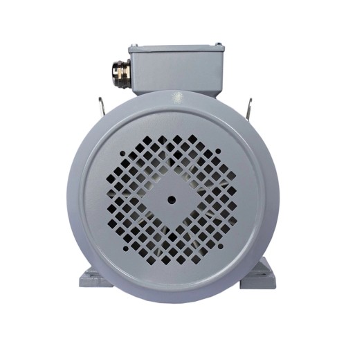 Электродвигатель ESQ PR 112 M4-SDN-Б1-S12-IE2 IM B35 4/1500 01.05.02.000046 - изображение 4