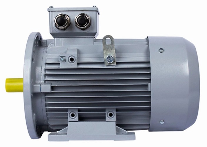 Электродвигатель ESQ PR 112 M4-SDN-Б1-S12-IE2 IM B35 4/1500 01.05.02.000046 - изображение 5