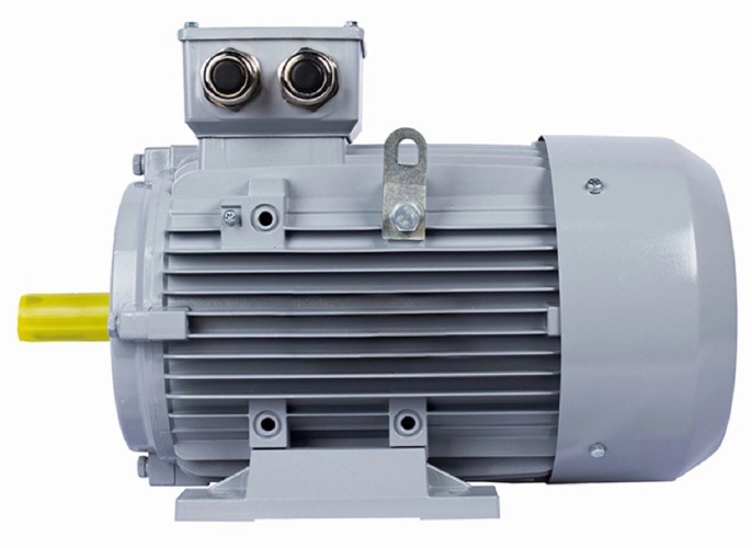 Электродвигатель ESQ PR 112 MA2-SDN-Б1-S12-IE3 IM B3 4/3000 01.05.02.000140 - изображение 4