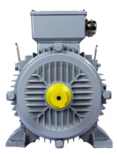 Электродвигатель ESQ PR 112 MA2-SDN-Б1-S12-IE2 IM B3 4/3000 01.05.02.000011 - изображение 3