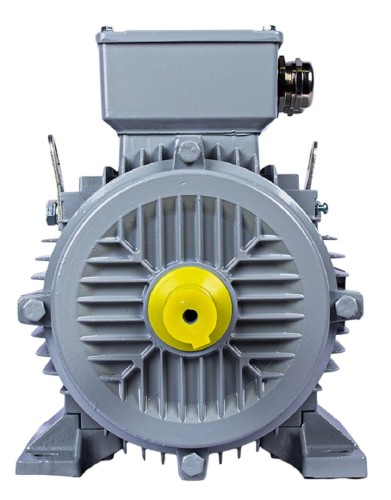 Электродвигатель ESQ PR 112 MA2-SDN-Б1-S12-IE3 IM B3 4/3000 01.05.02.000140 - изображение 3