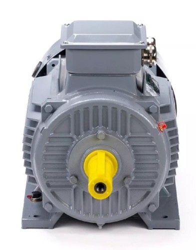 Электродвигатель ESQ PR 112 MА6 GST-Б1-S12-IE2 IM 1081 3/1000 01.01.223763 - изображение 2