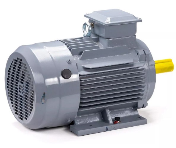 Электродвигатель ESQ PR 112 MА6 GST-Б1-S12-IE2 IM 1081 3/1000 01.01.223763 - изображение 5