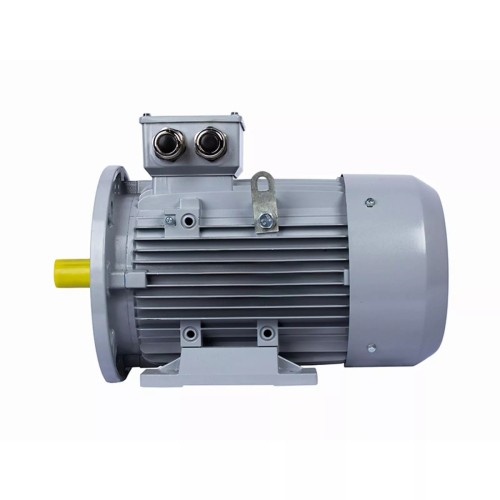 Электродвигатель ESQ PR 112 MВ6 GST-Б1-S12-IE2 IM 1081 4/1000 01.01.223764 - изображение 5